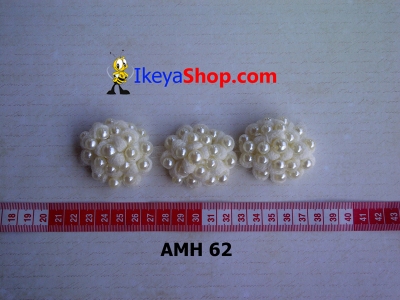 AMH 62  large2